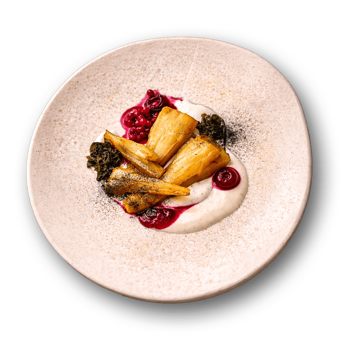 Parsnip appetizer with smoked sour cream, cranberry sauce, and fermented kvass on a plate