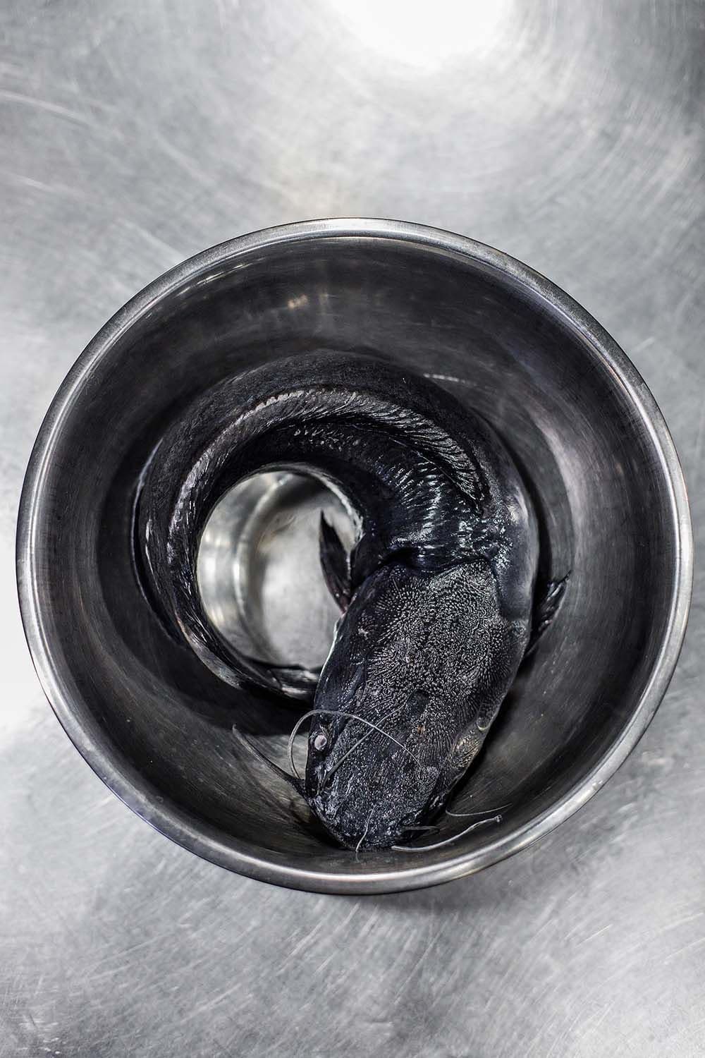 100 rokiv tomu vpered